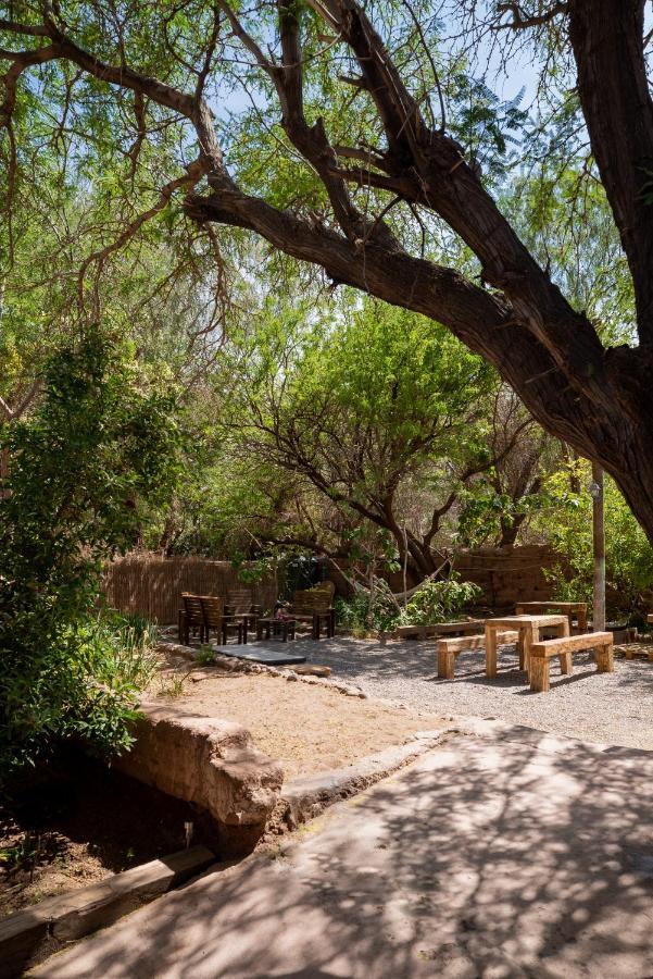 Hostal Vientos - La Yareta San Pedro de Atacama Exterior foto